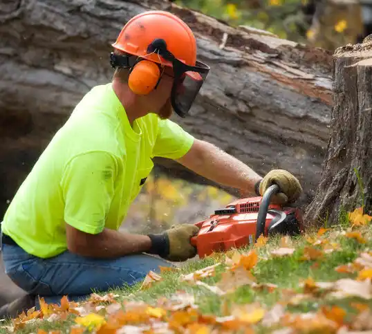 tree services Golden's Bridge